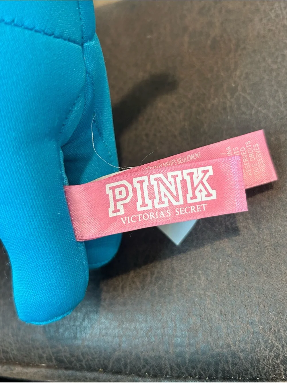 Victoria’s Secret PINK Collectible Plush Dog (Teal/Blue)